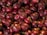 A close-up of fresh, vibrant onions stacked in a market display.