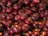A close-up of fresh, vibrant onions stacked in a market display.