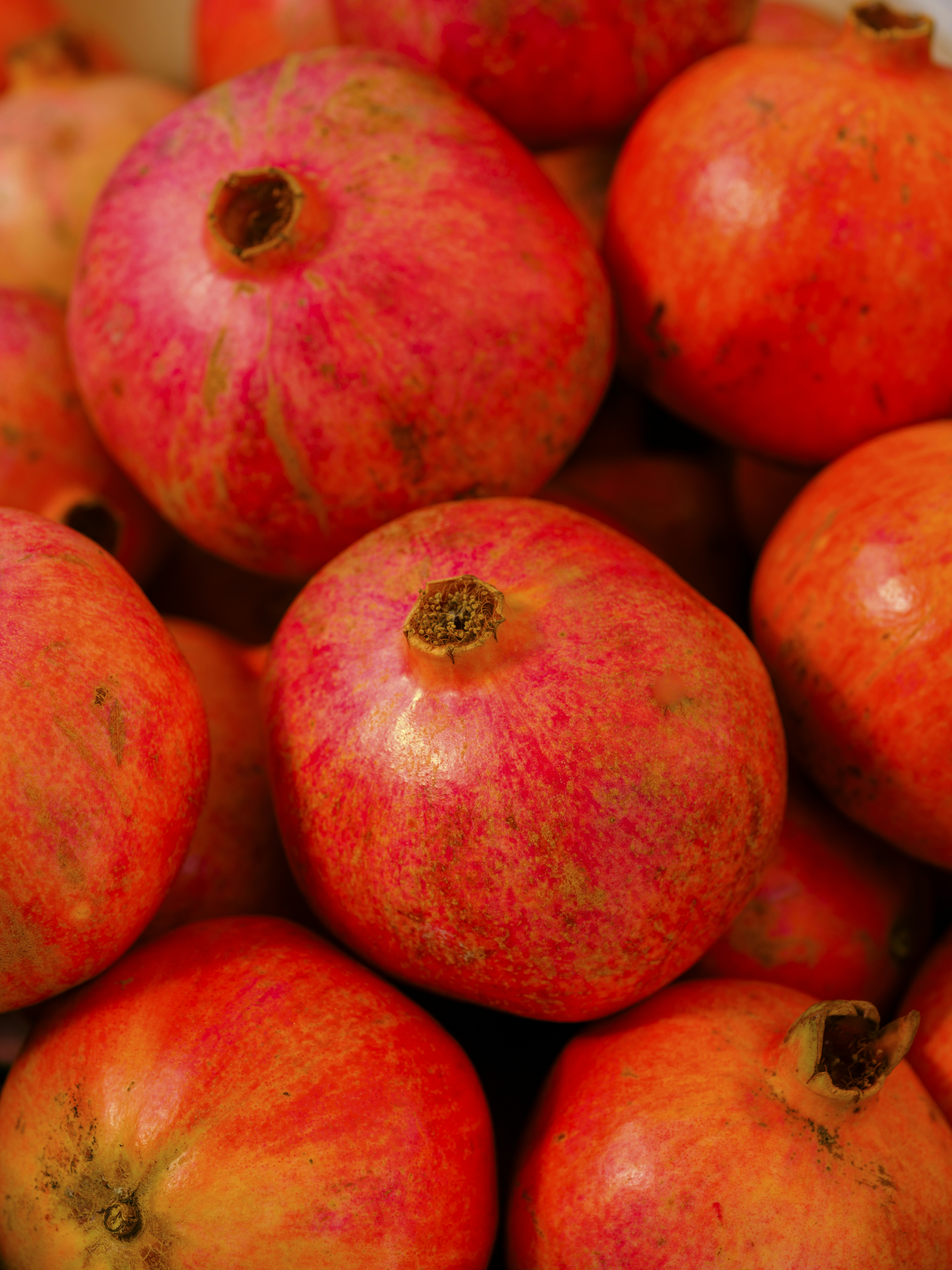 Photo by enginakyurt