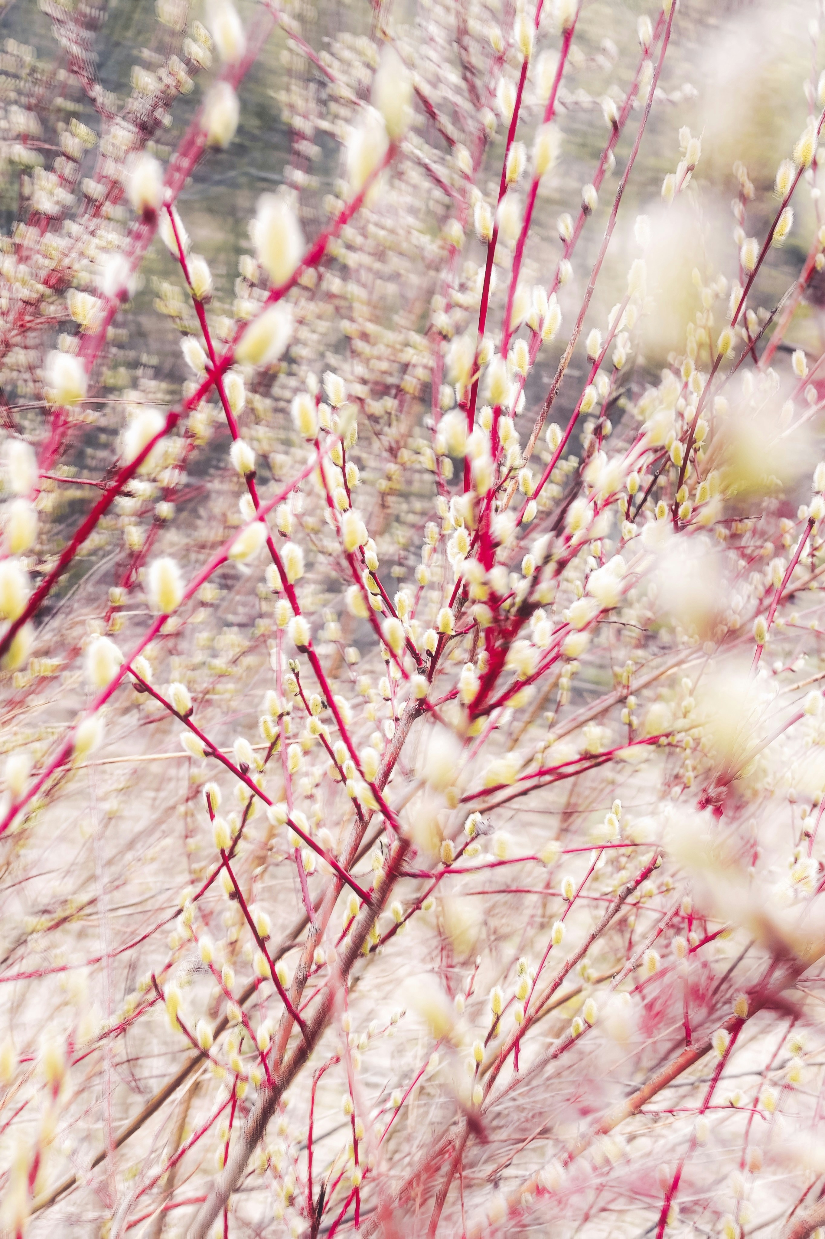 Photo by eugene_golovesov