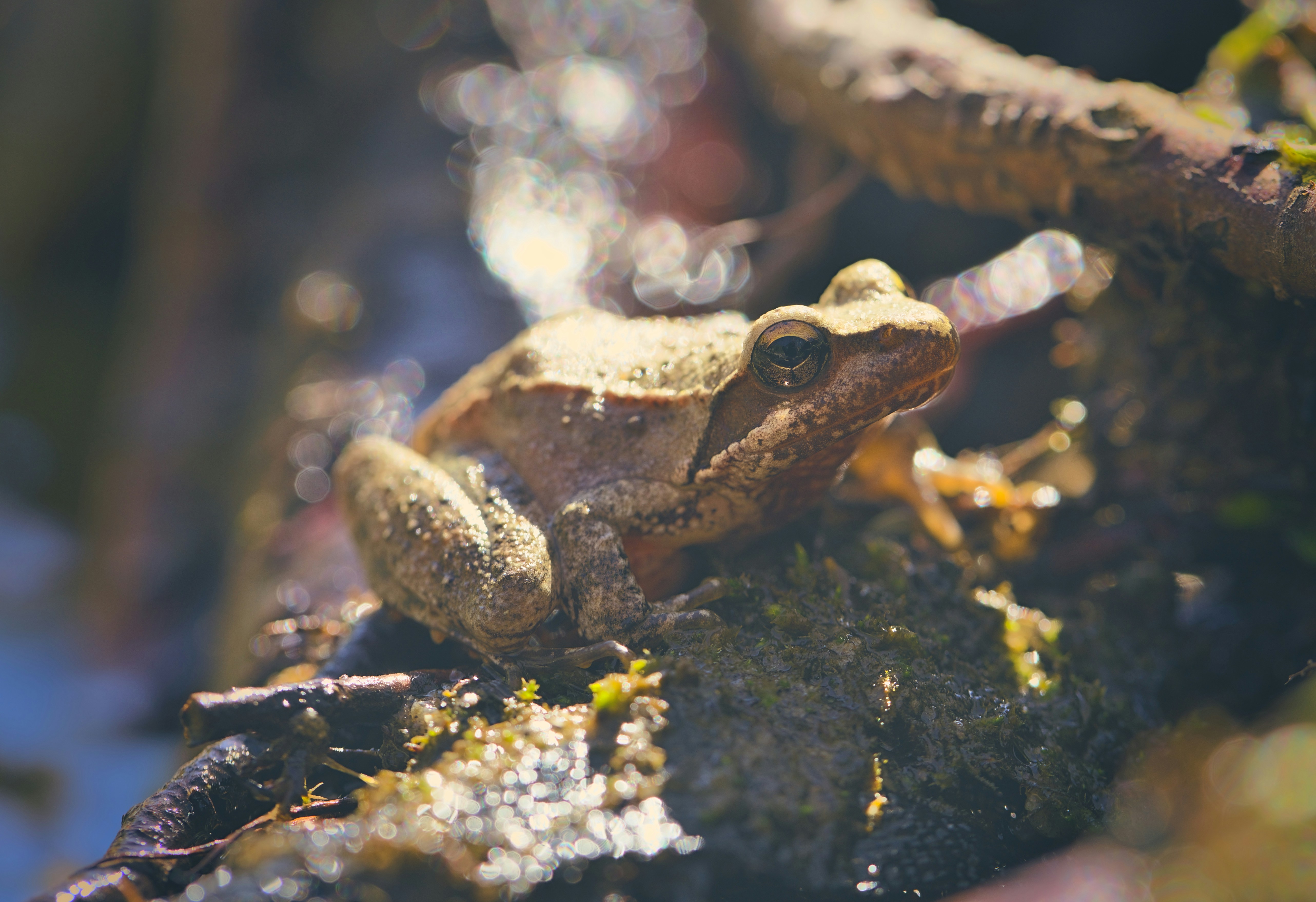 Photo by blooddrainer