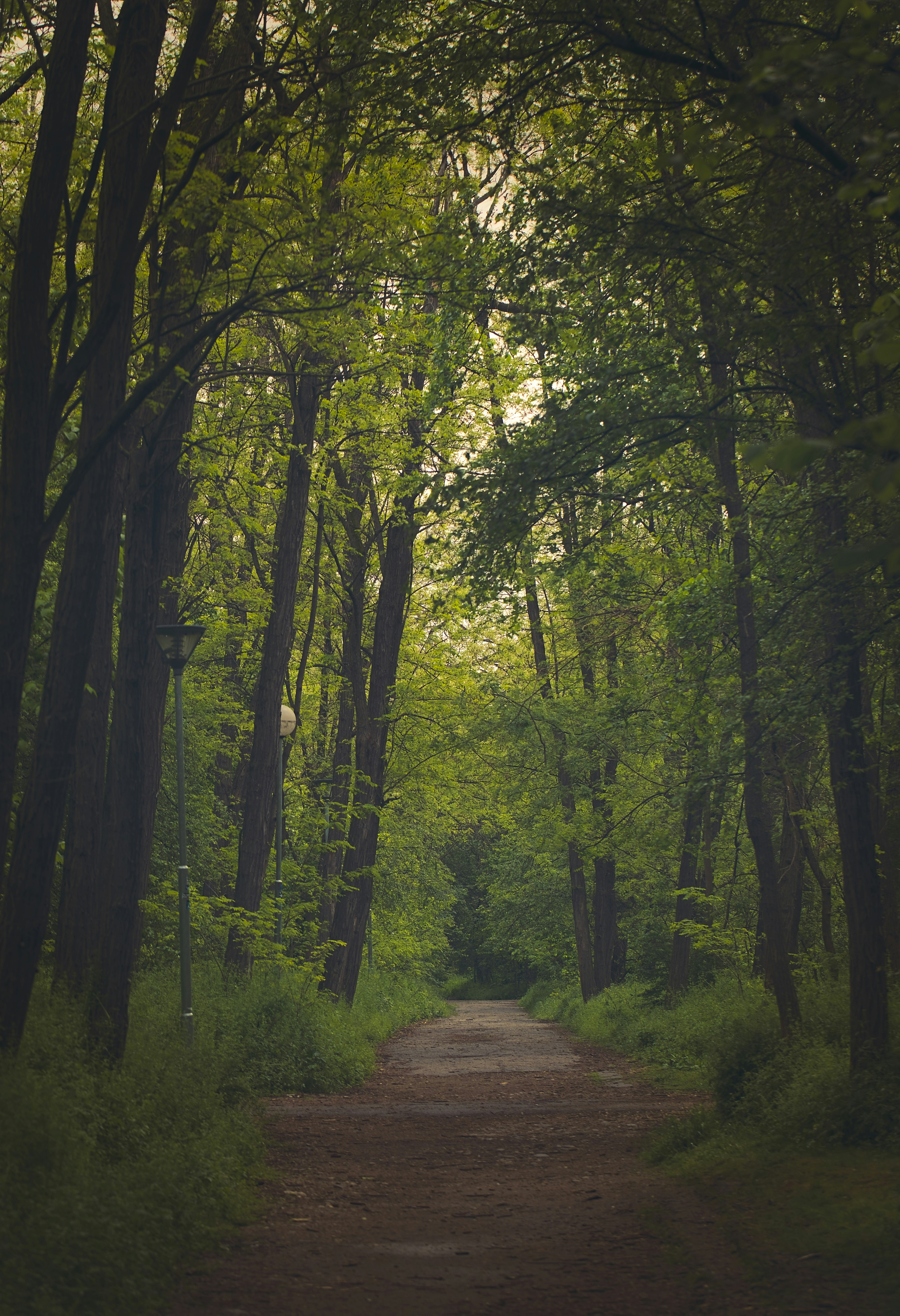 Photo by blooddrainer