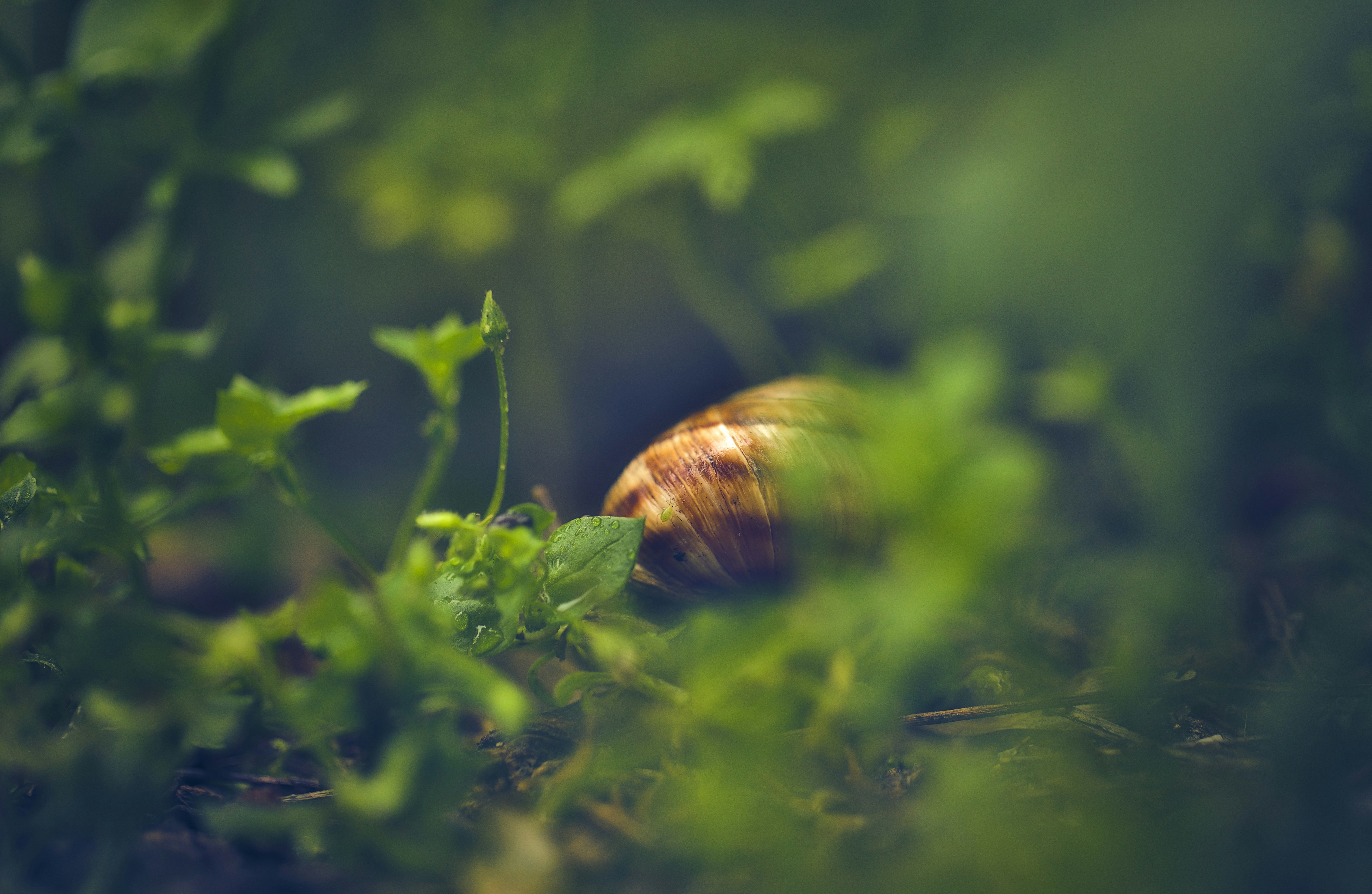 Photo by blooddrainer