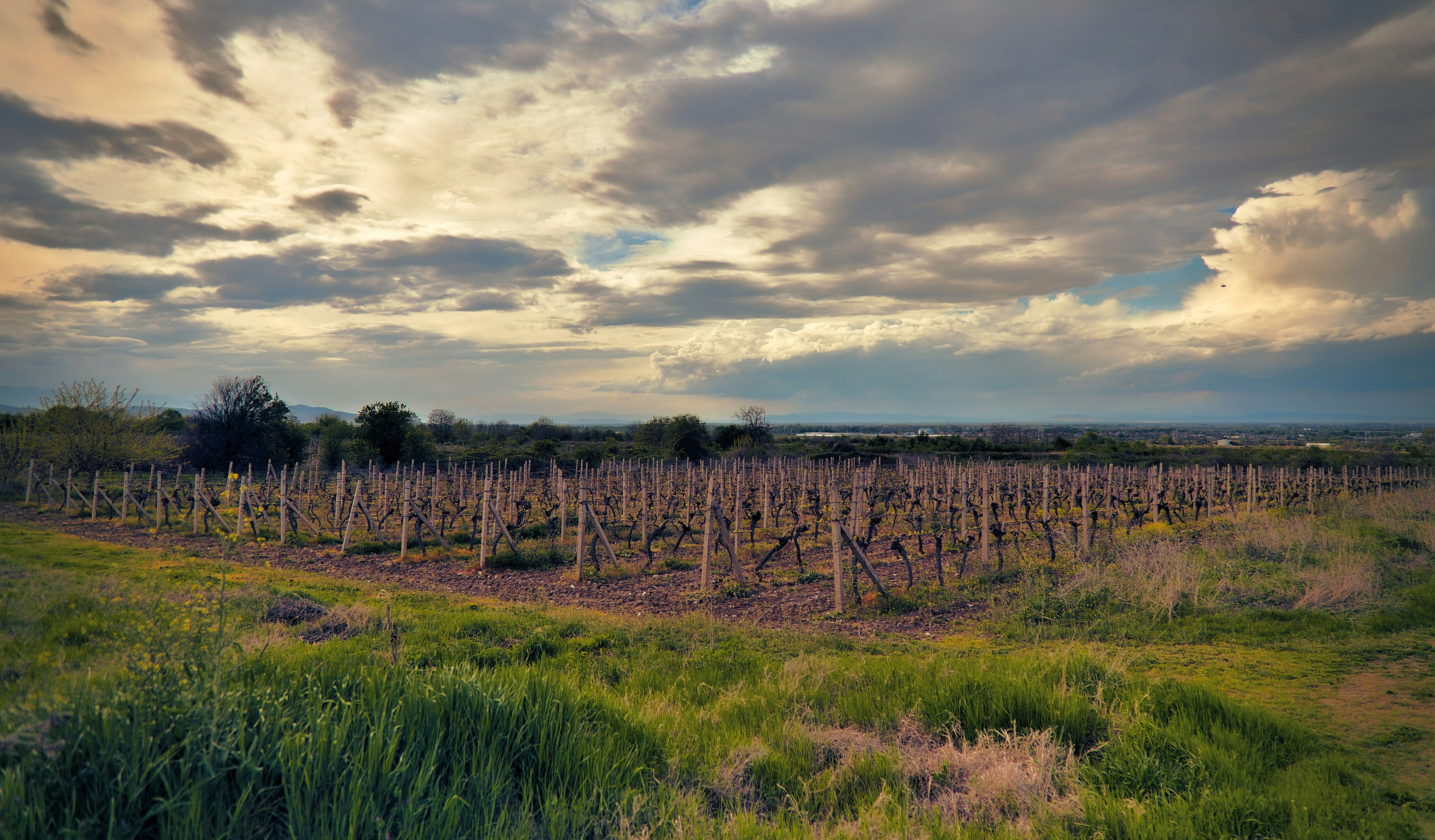 Photo by blooddrainer