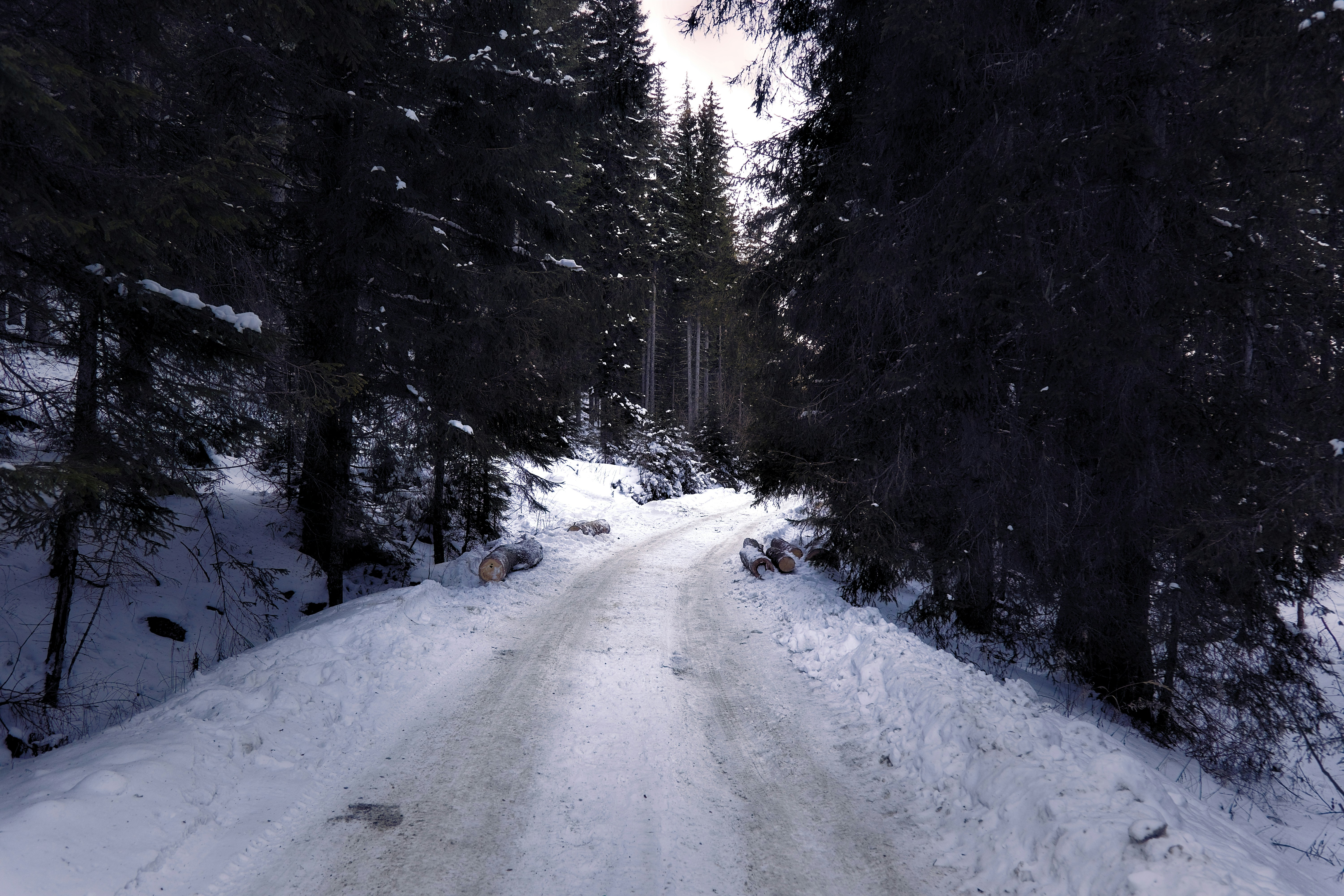 Photo by blooddrainer