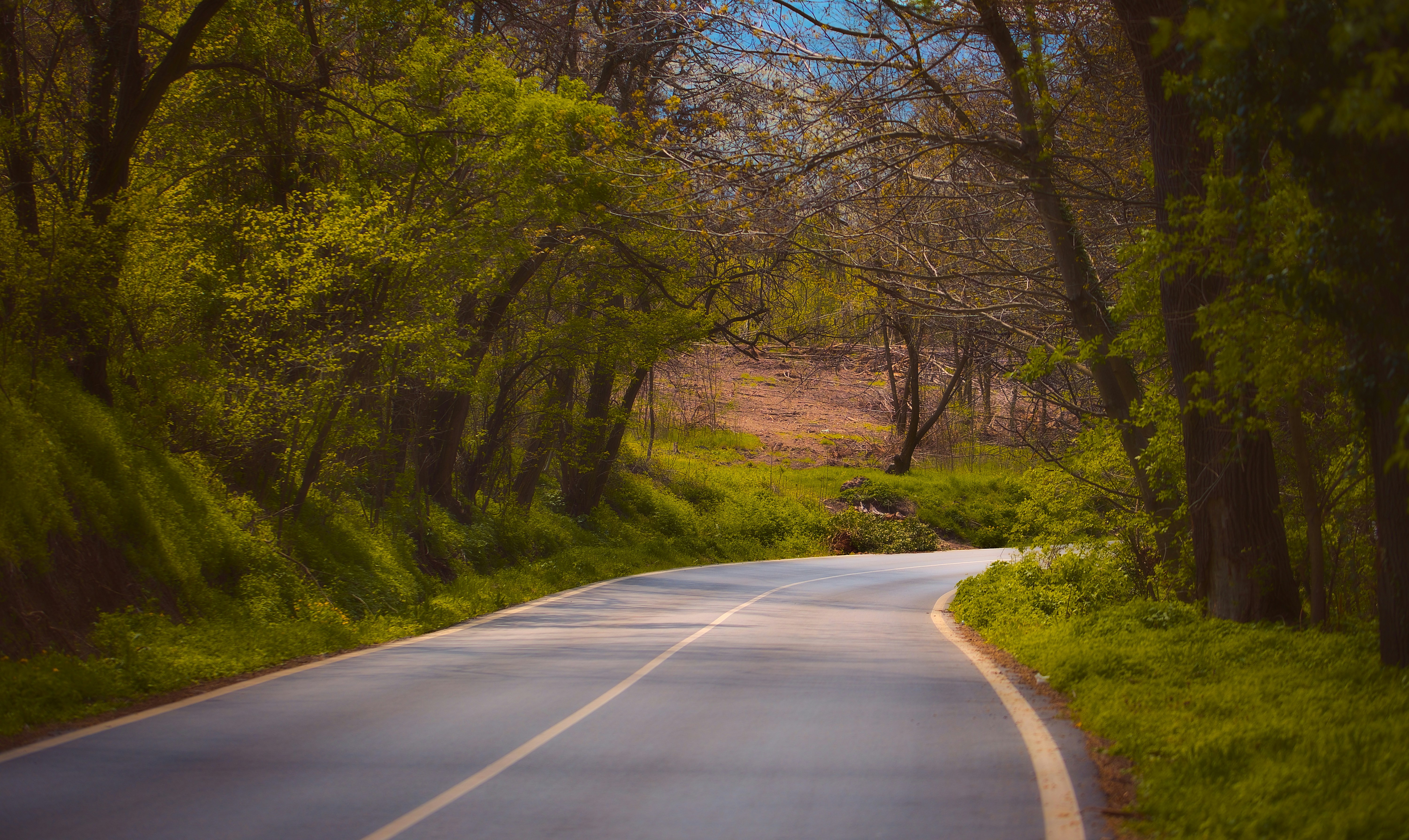 Photo by blooddrainer