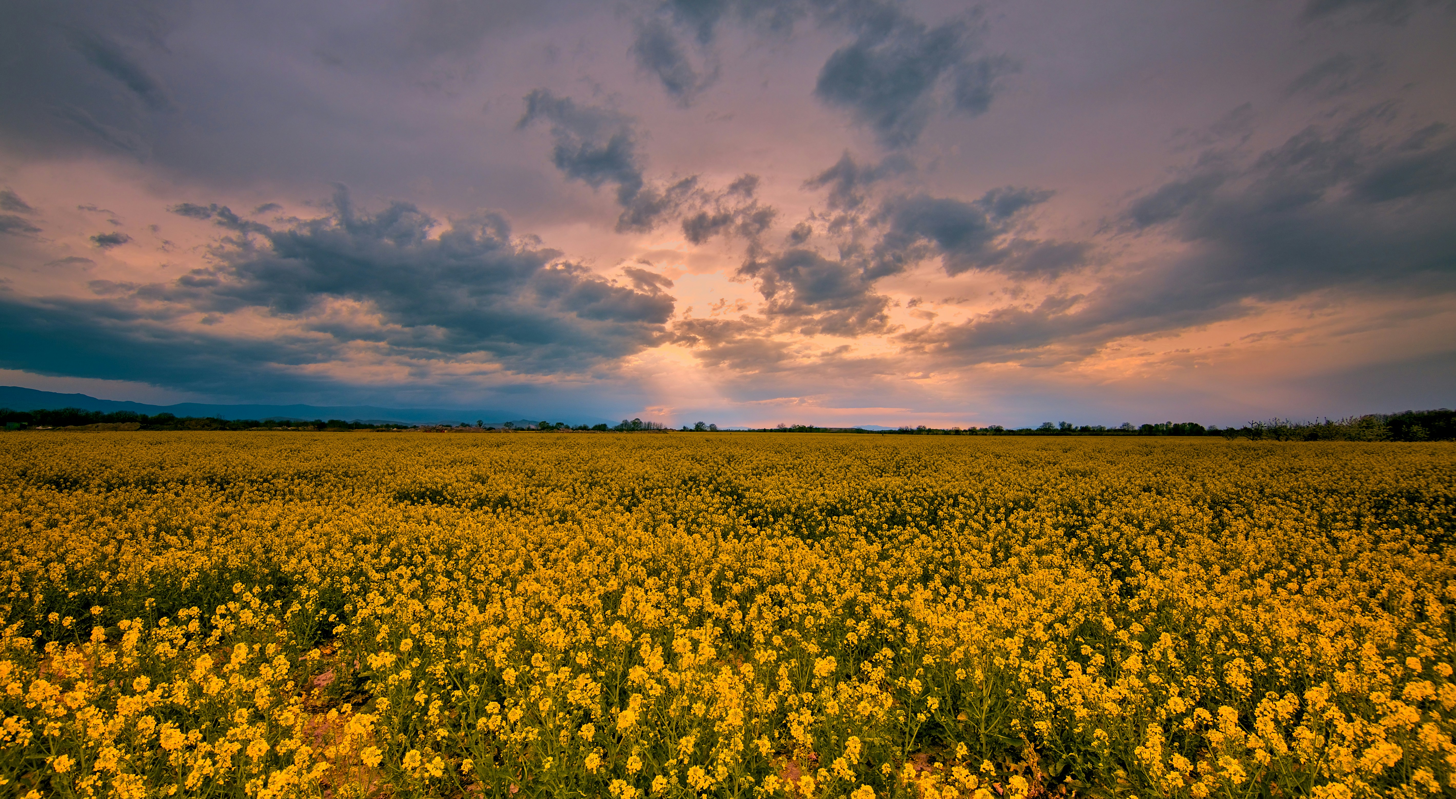 Photo by blooddrainer