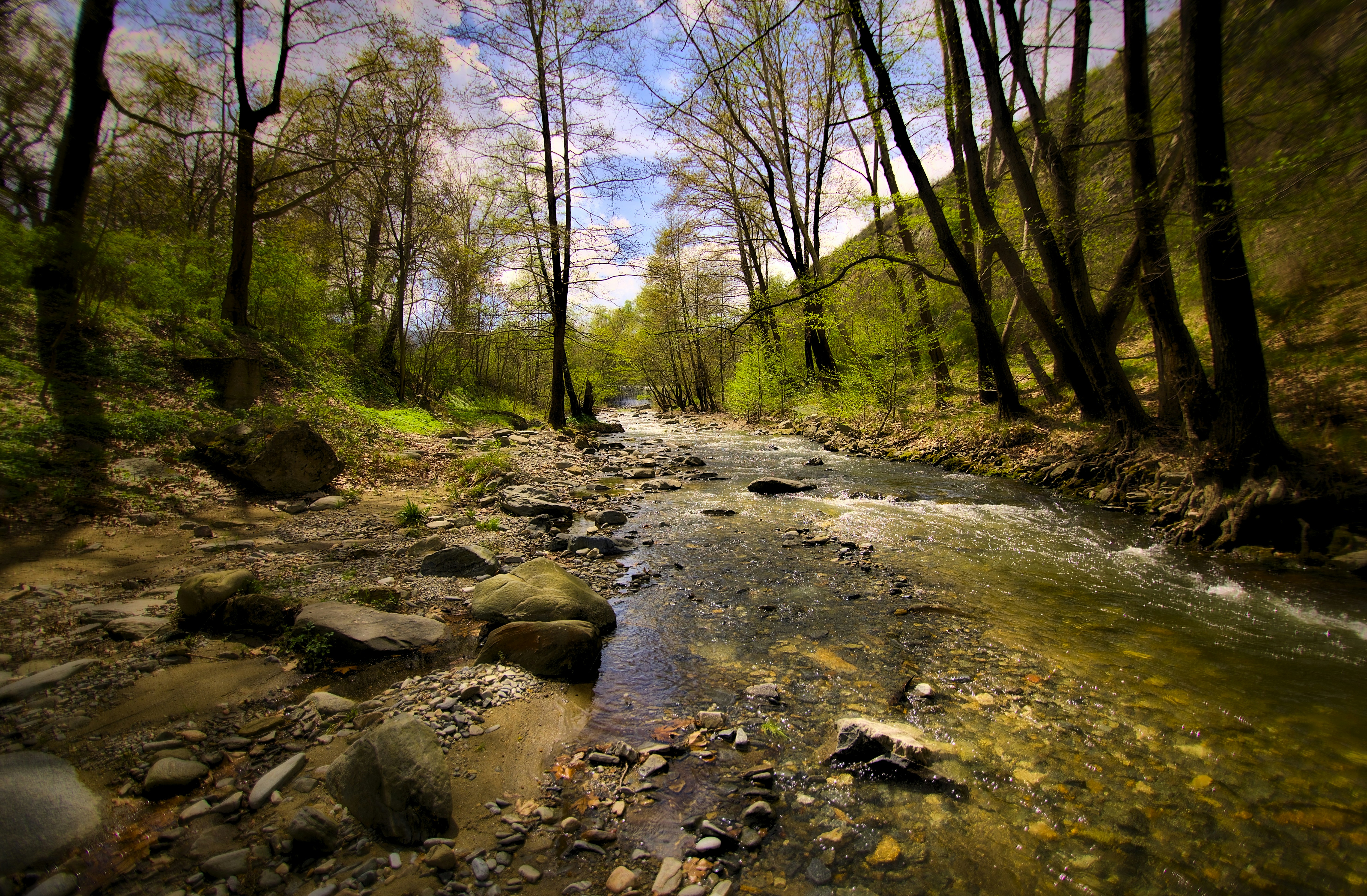 Photo by blooddrainer