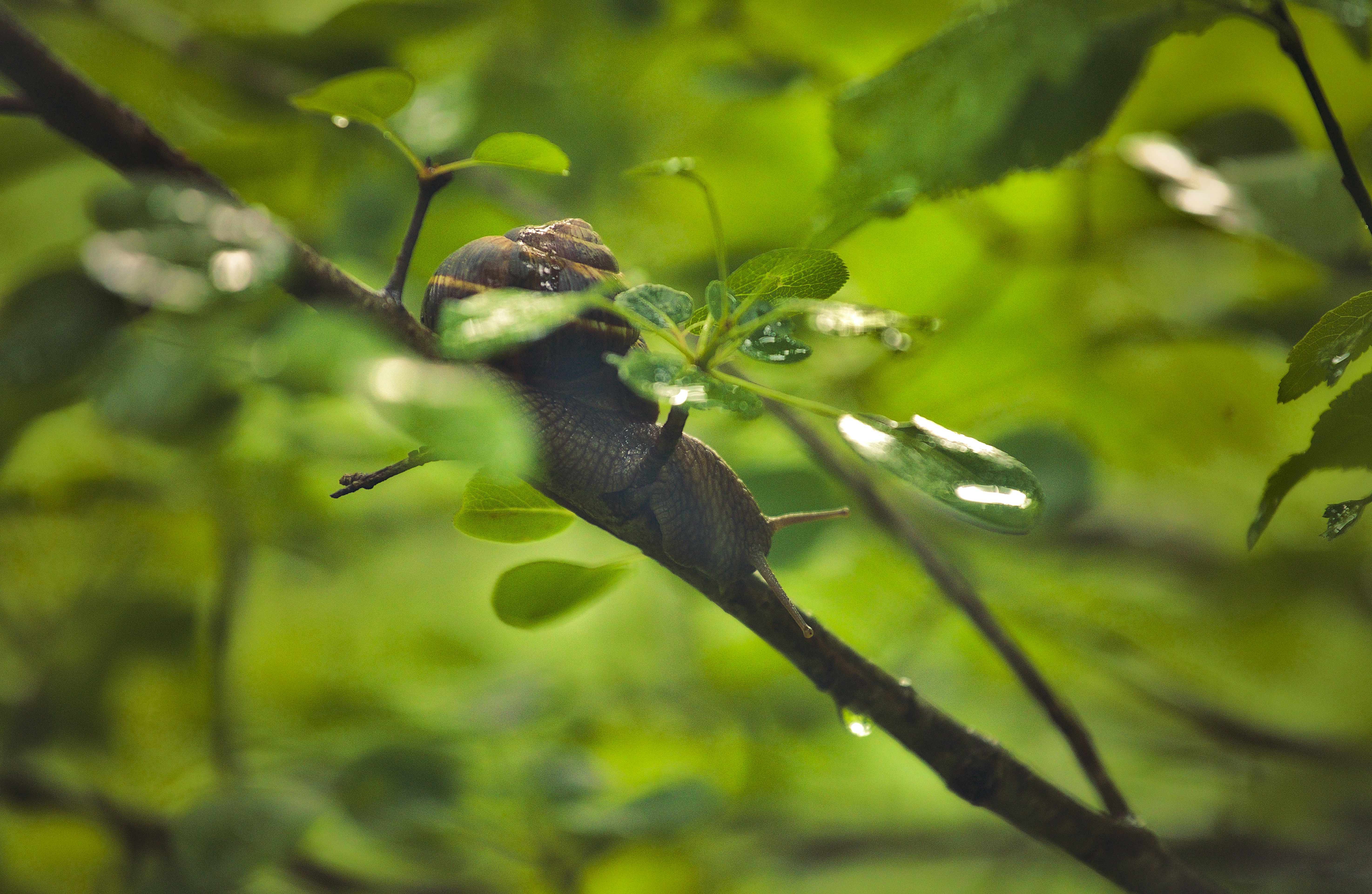 Photo by blooddrainer