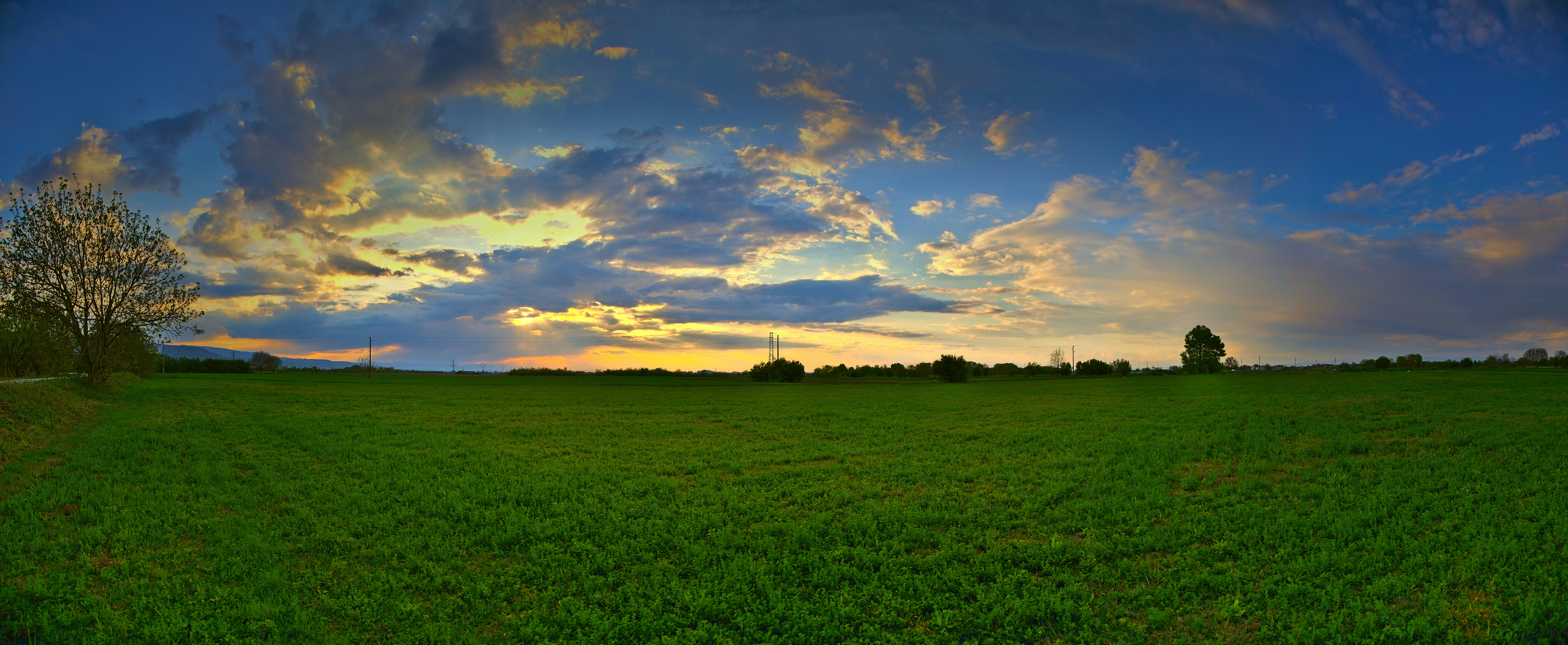 Photo by blooddrainer