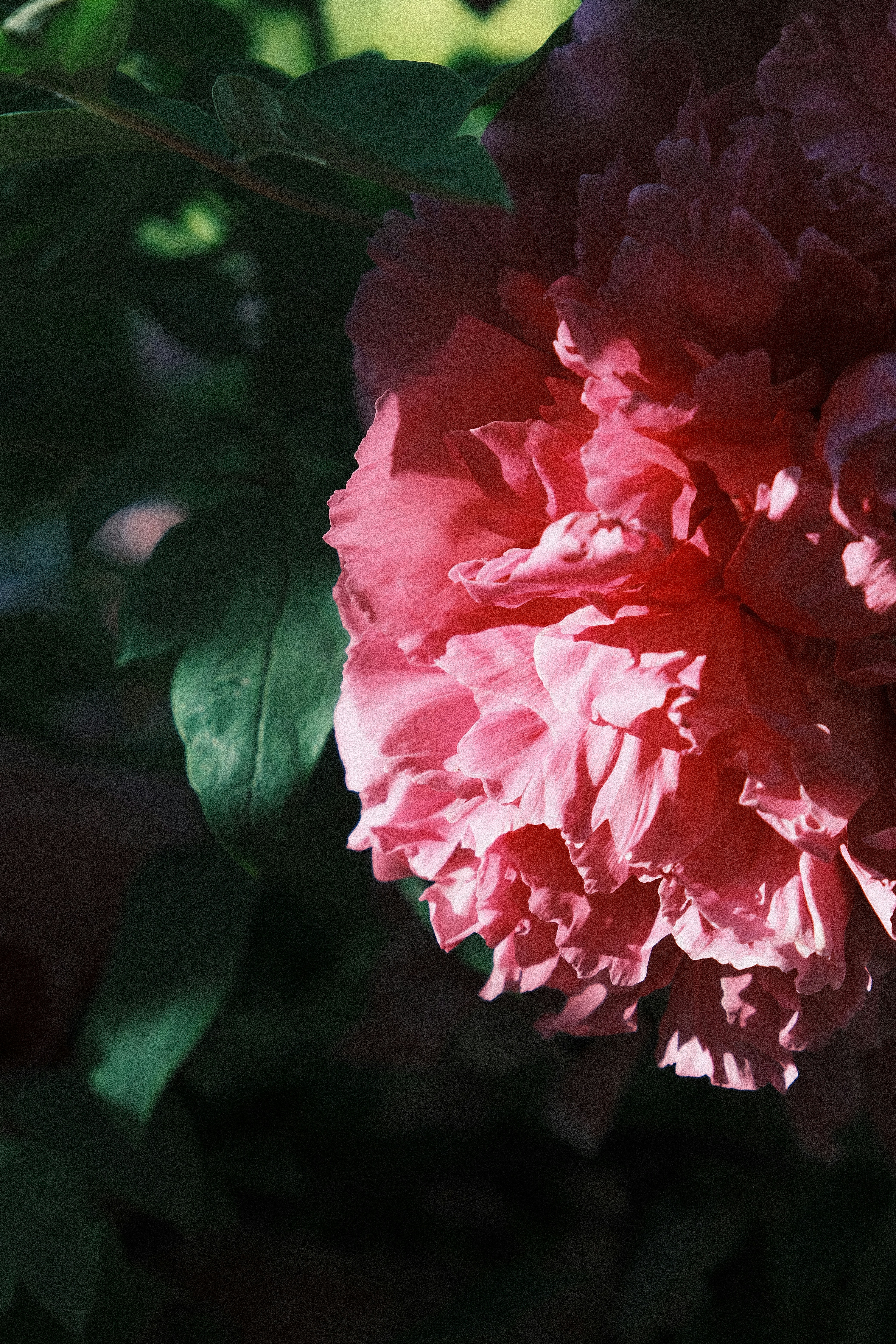Photo by blsnki