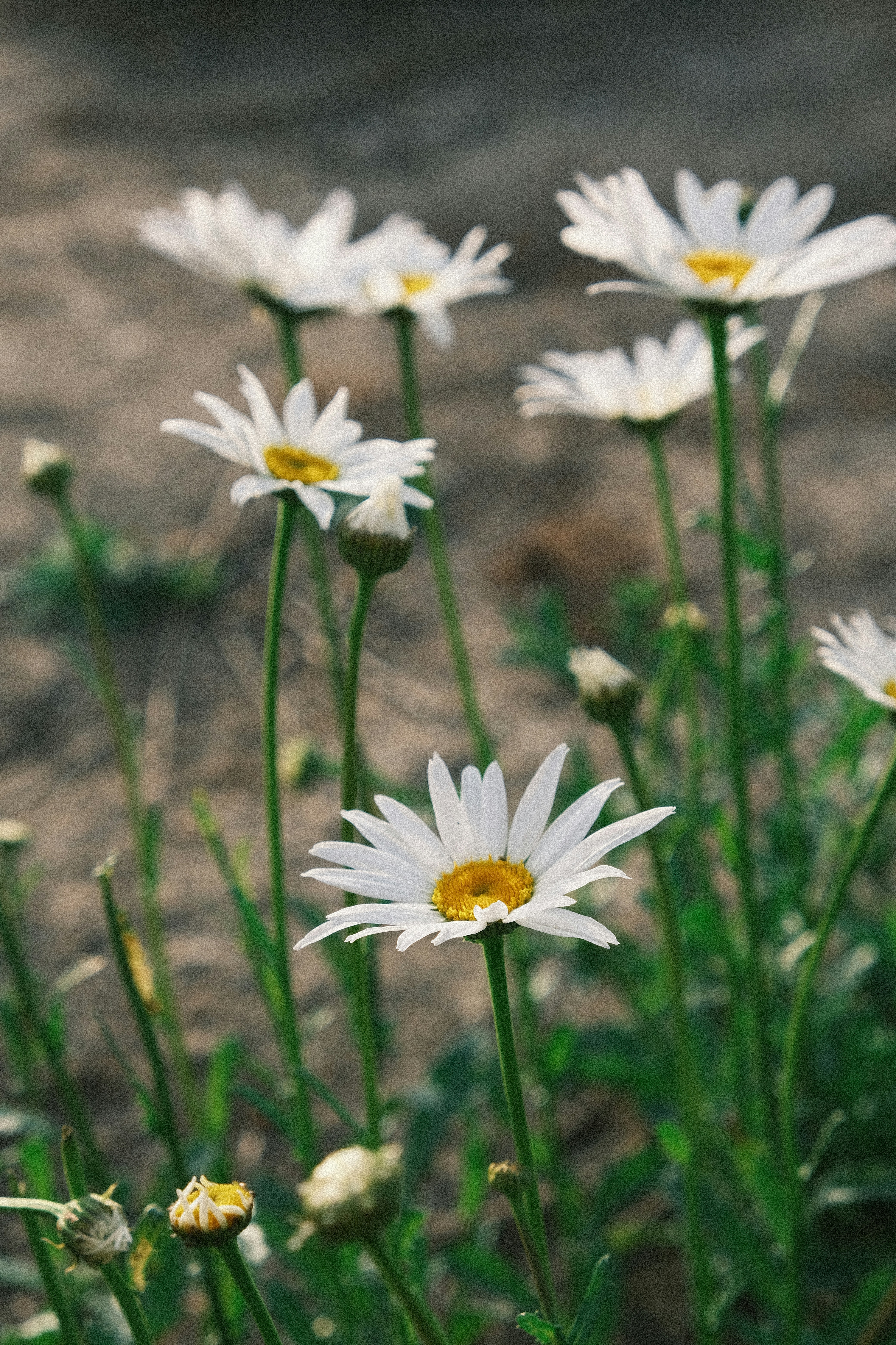 Photo by blsnki