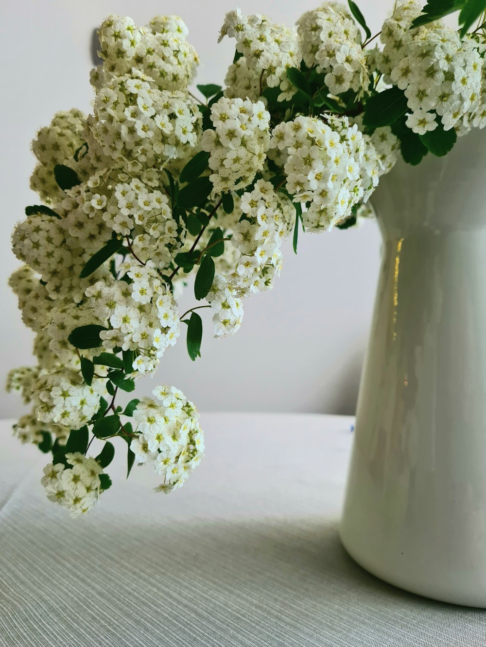 a white vase filled with white flowers on top of a table