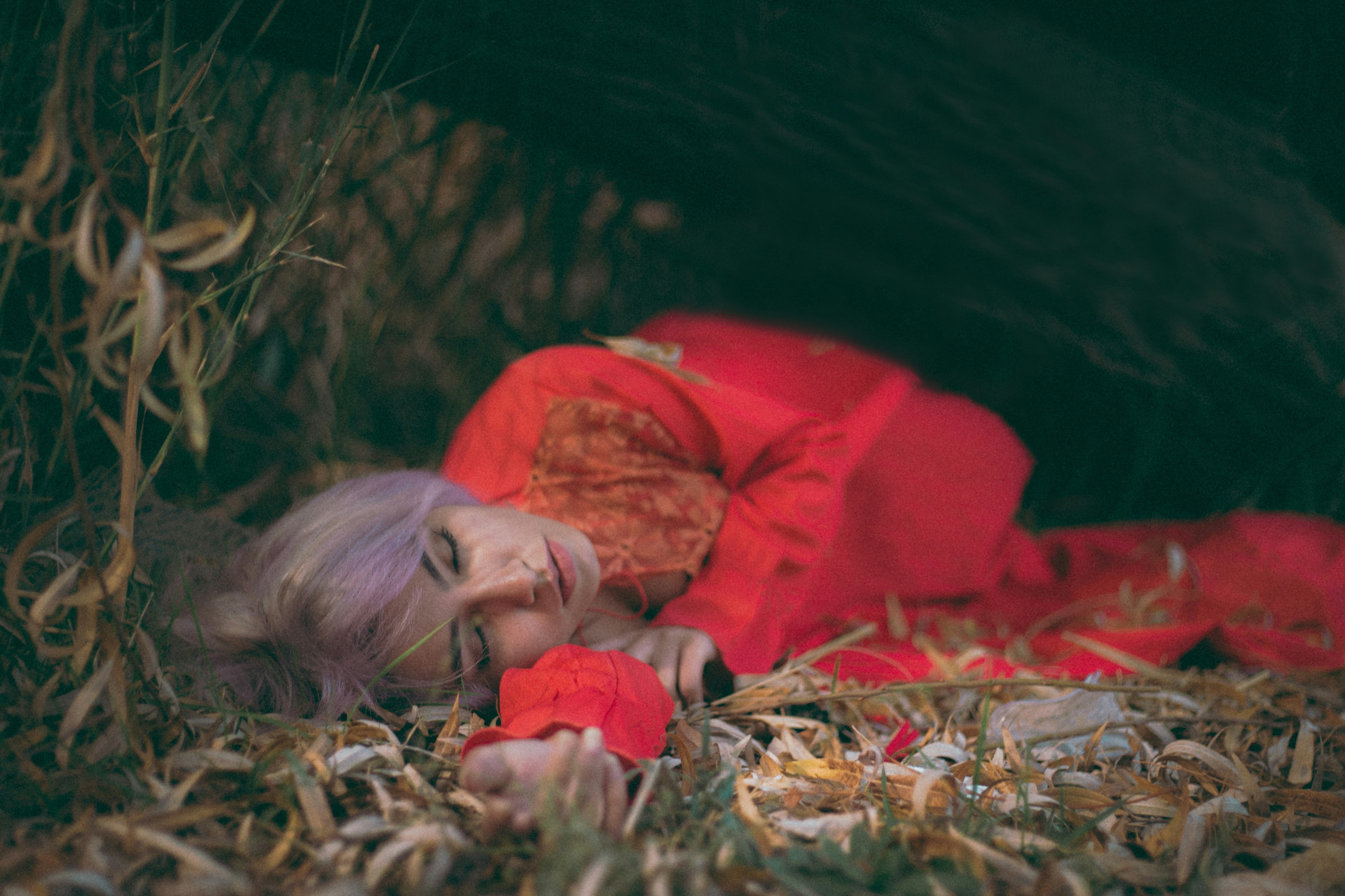 Photo by mehranbiabani