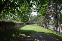 A lush, green space with well-maintained grass surrounded by stone walls and trees offering shade. Sunlight filters through the leaves, creating a pattern of light and shadow on the ground. The scene is serene and enclosed by a combination of deciduous and evergreen trees.