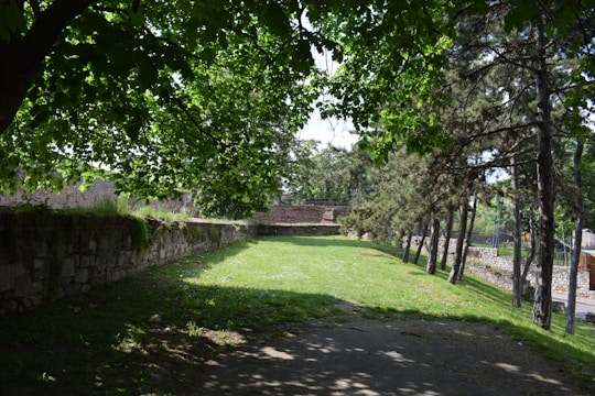 A lush, green space with well-maintained grass surrounded by stone walls and trees offering shade. Sunlight filters through the leaves, creating a pattern of light and shadow on the ground. The scene is serene and enclosed by a combination of deciduous and evergreen trees.