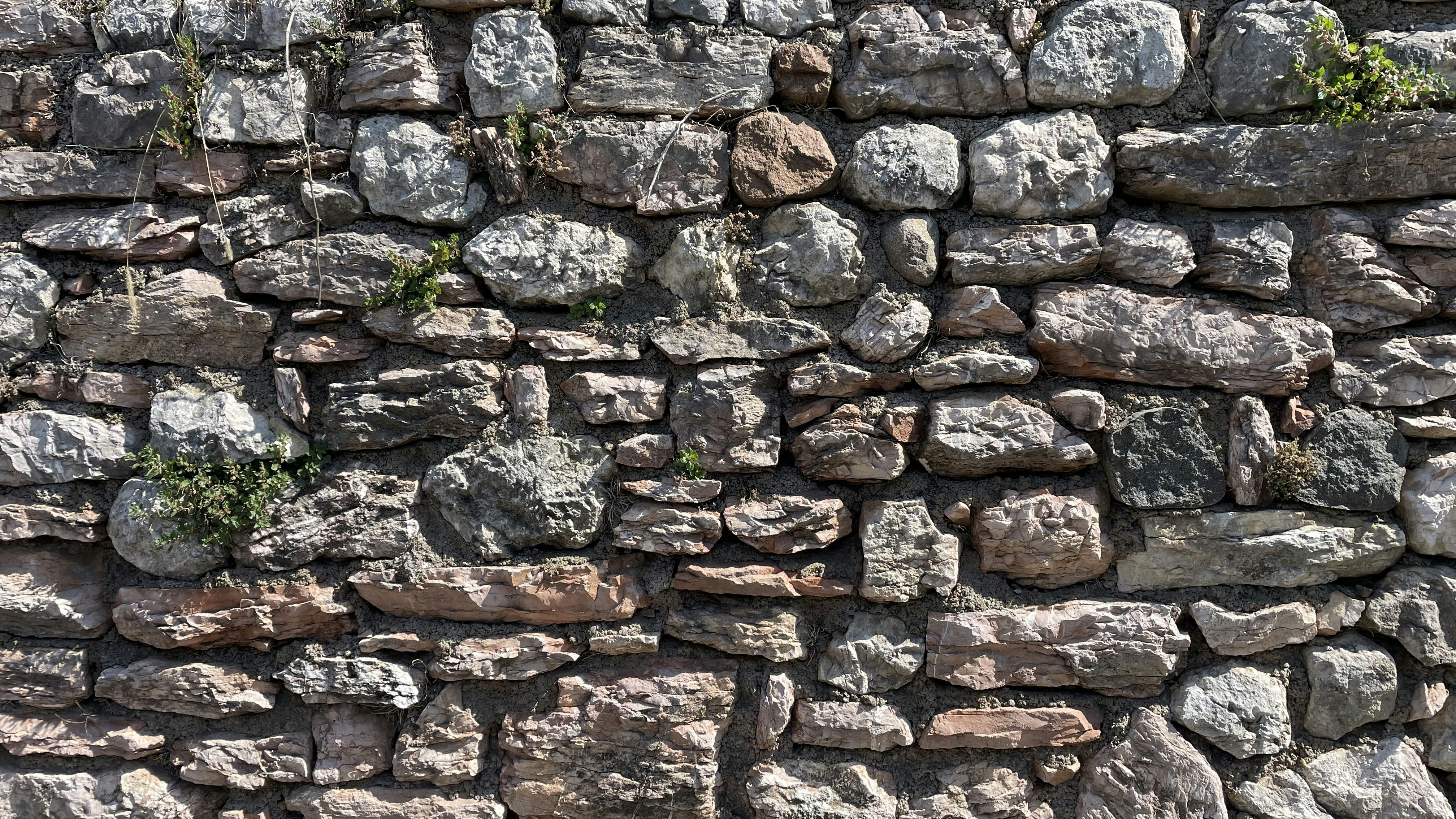 Photo by mightyslaytanic