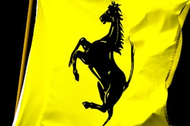 A black silhouette of a rearing horse is prominently displayed on a vibrant yellow background. The horse's mane and tail are clearly defined, and its front legs are raised. The image appears to be printed on a fabric with folds visible.