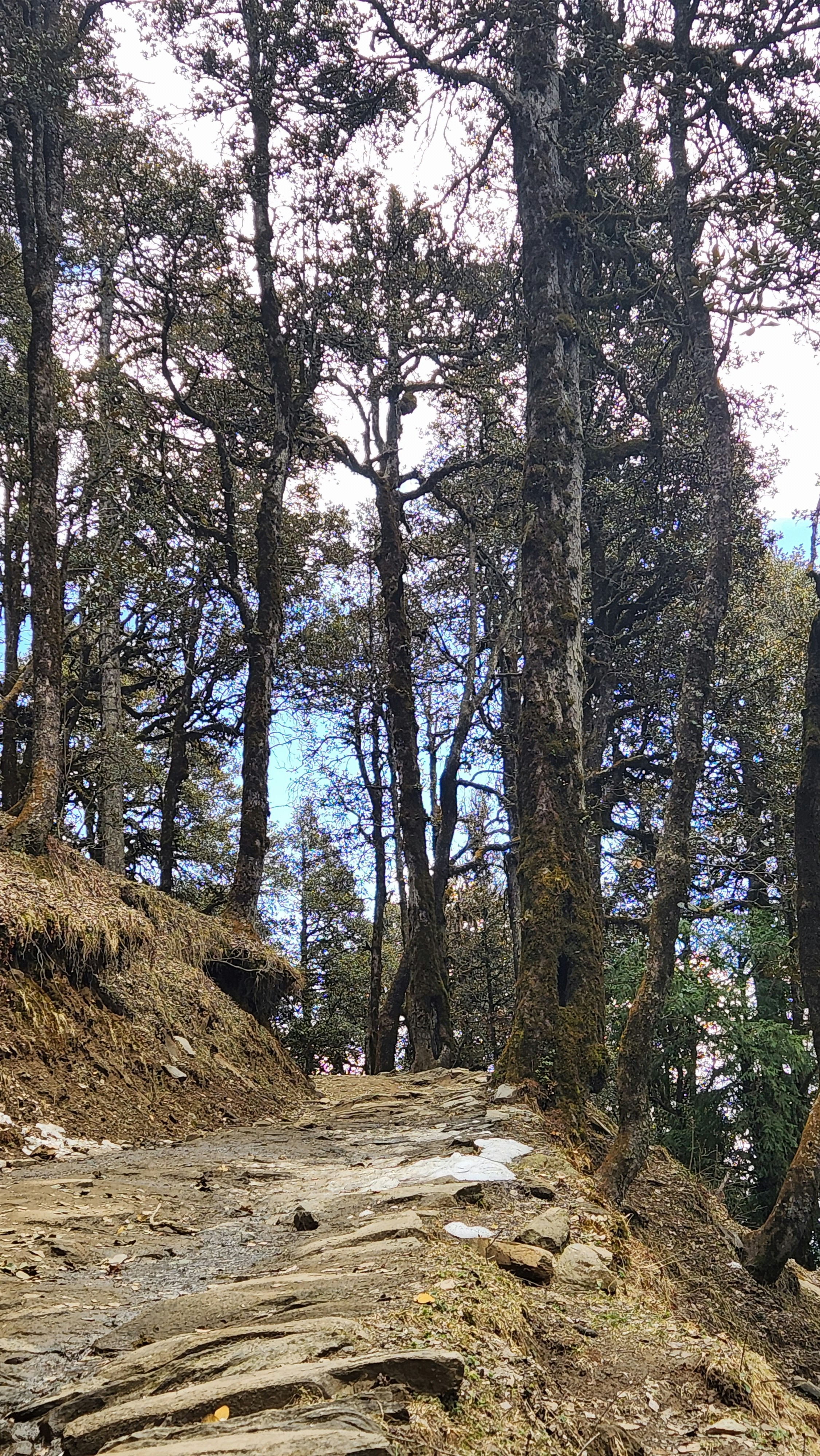 Photo by ashish_rastogi