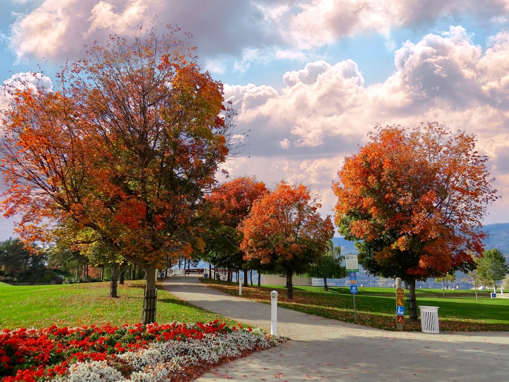 a pathway in a park lined with trees and flowers