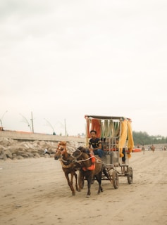 A horse-drawn carriage with colorful drapes is being driven along a sandy beach. The carriage is pulled by two horses, and a man is seated inside, steering the reins. The beach is wide with scattered people in the distance, and there is a stone seawall running parallel to the shore.