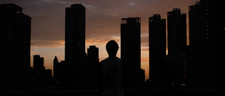 A shadowy figure standing against a dystopian city skyline at dusk.
