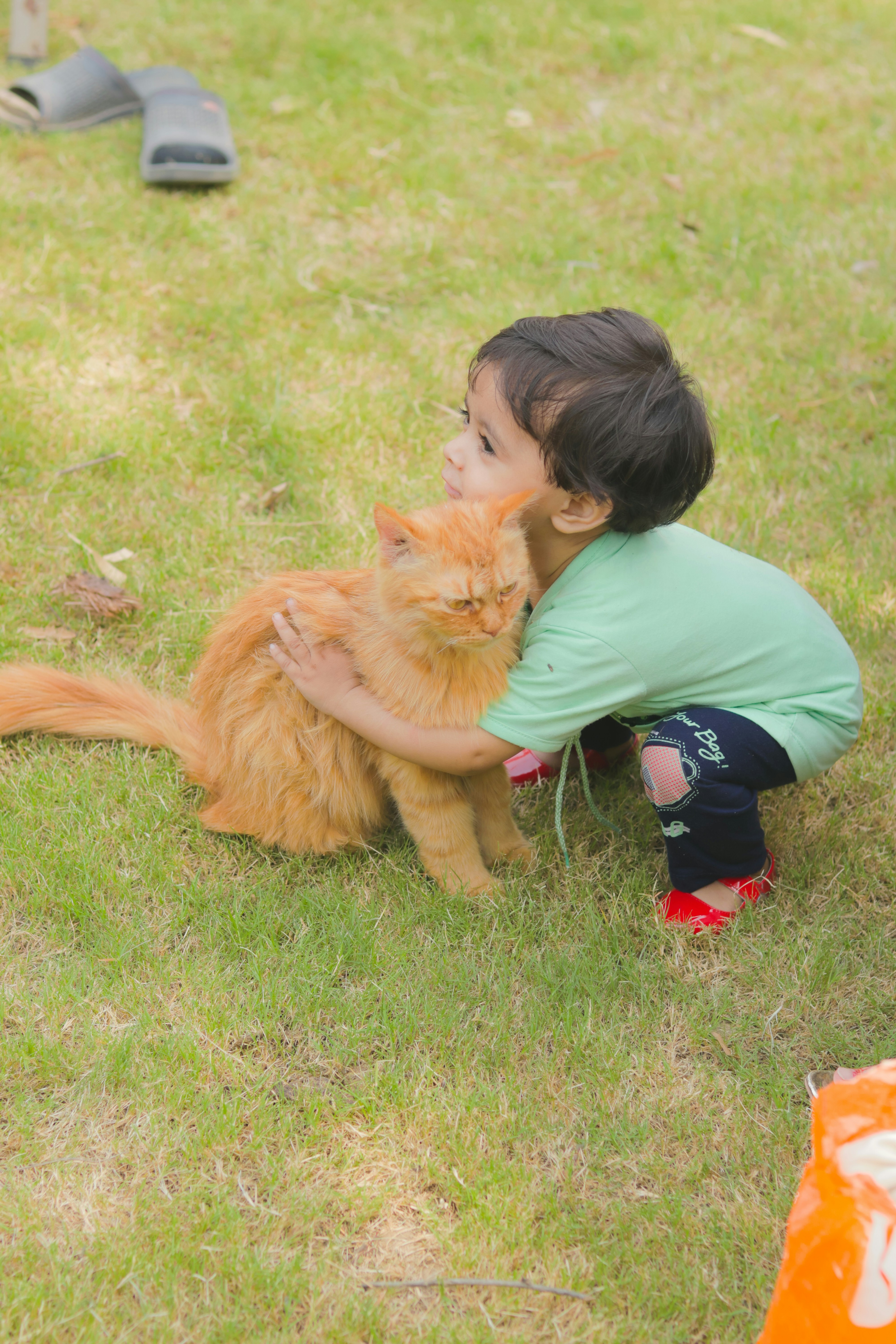 #3 What Their Pet's Favorite Thing About Being a Pet Is (image credits: unsplash)