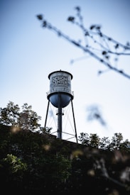 A tall water tower with the label 'Design Center of the Carolinas' rises prominently against a clear blue sky. Foreground elements include out-of-focus tree branches and leafage, adding depth and perspective to the scene.