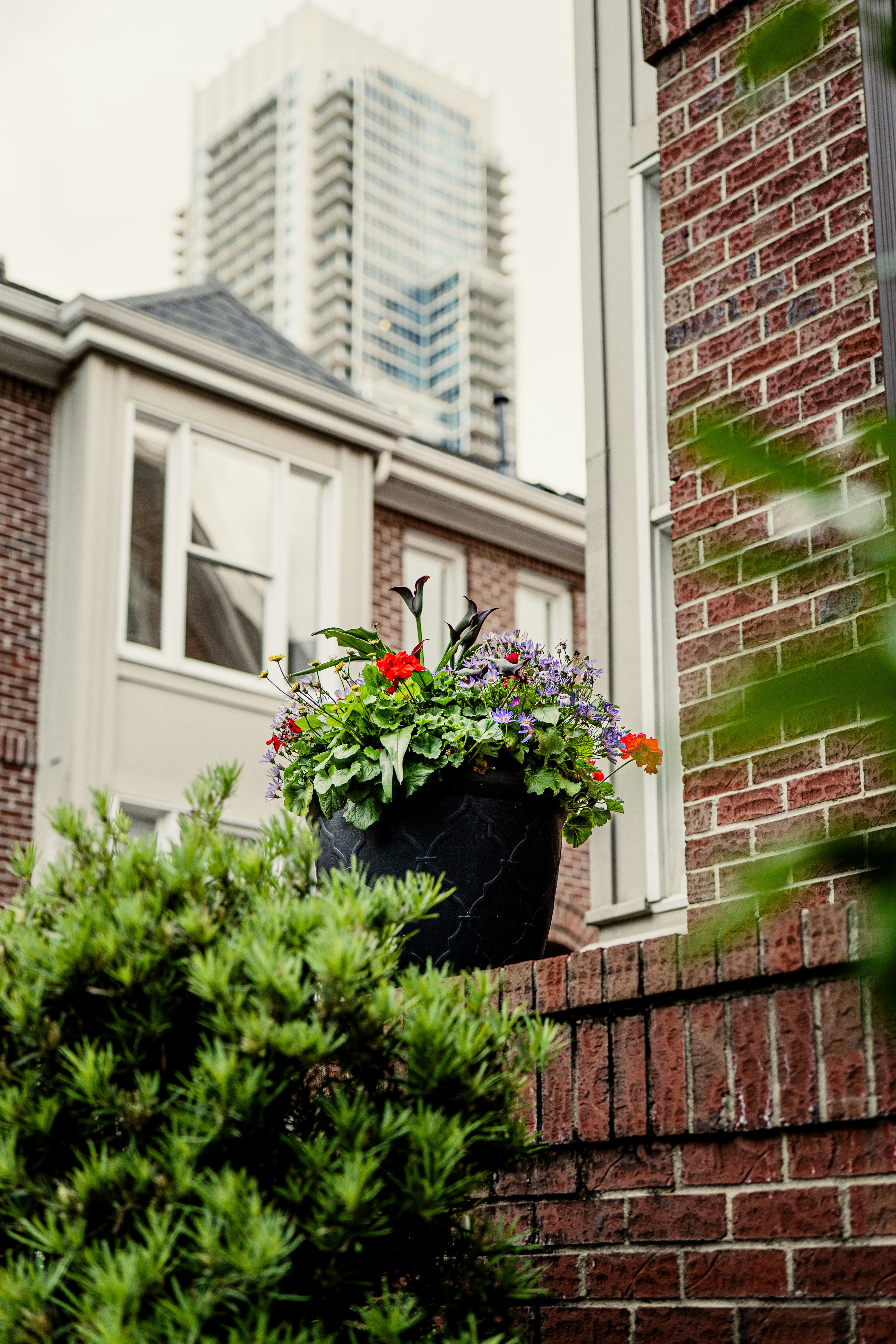 Photo by thefulnessthereof