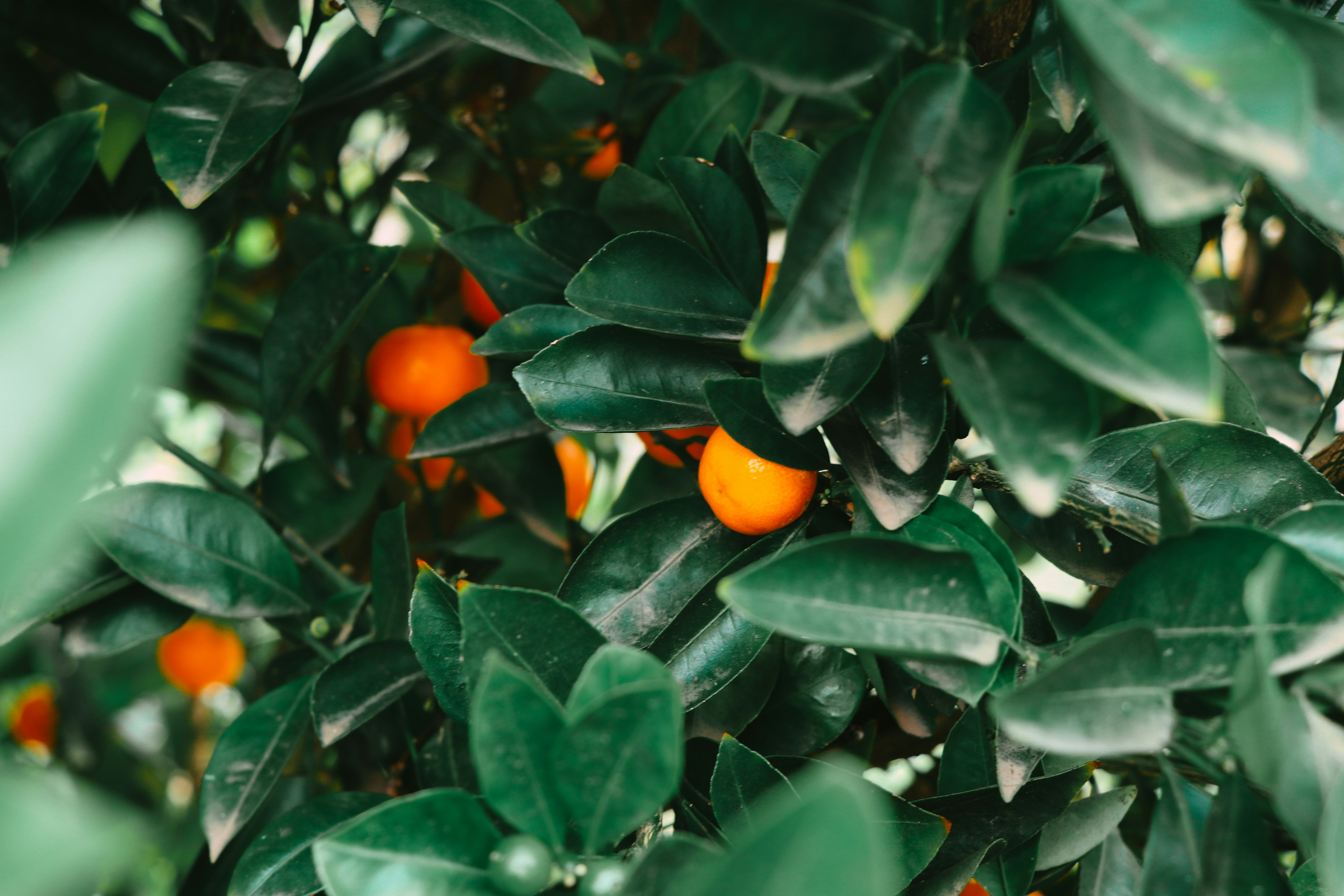 Photo by itsracheloh