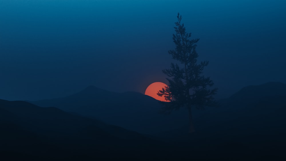 the sun is setting behind a tree in the mountains