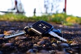 A close-up view of a set of car keys on a cobblestone surface with a rural, out-of-focus background featuring green grass and some blurred vertical structures.