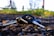 A close-up view of a set of car keys on a cobblestone surface with a rural, out-of-focus background featuring green grass and some blurred vertical structures.