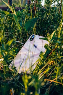 An iPhone is partially hidden among tall green grass and plants, with sunlight reflecting off its surface.