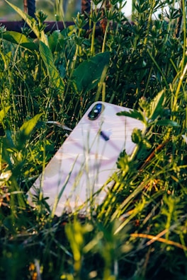 An iPhone is partially hidden among tall green grass and plants, with sunlight reflecting off its surface.