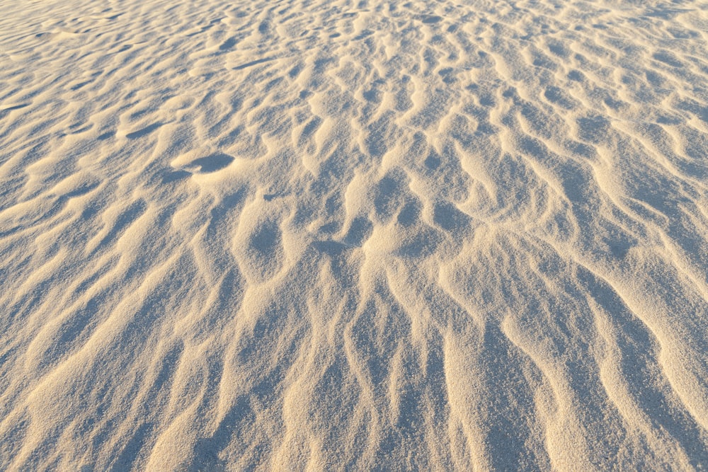 a sandy beach covered in lots of white sand