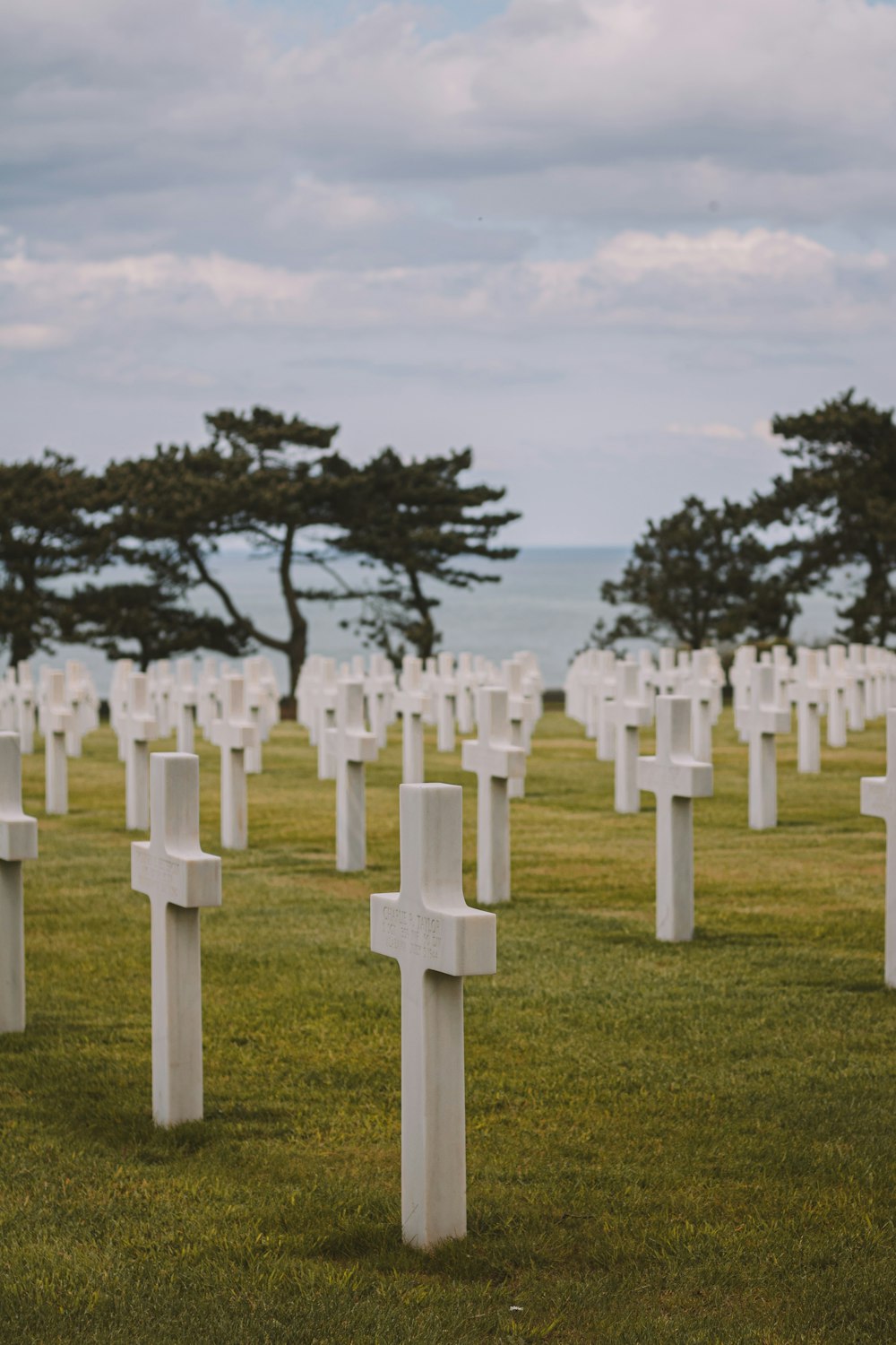 a field full of white crosses sitting on top of a lush green field