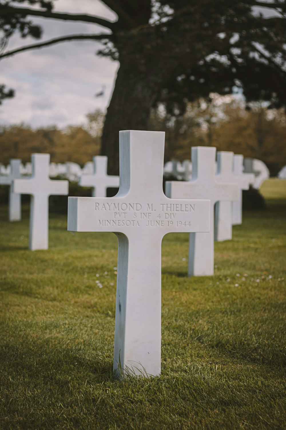 a group of white crosses sitting in the grass