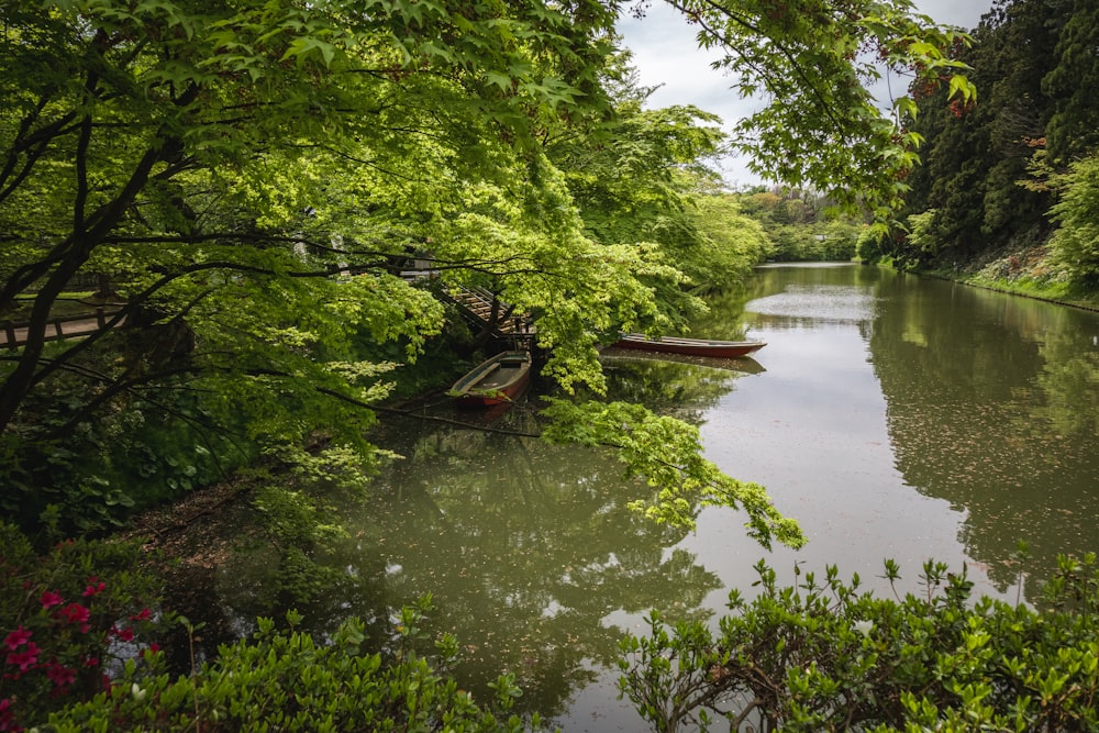 two canoes are sitting on the bank of a river