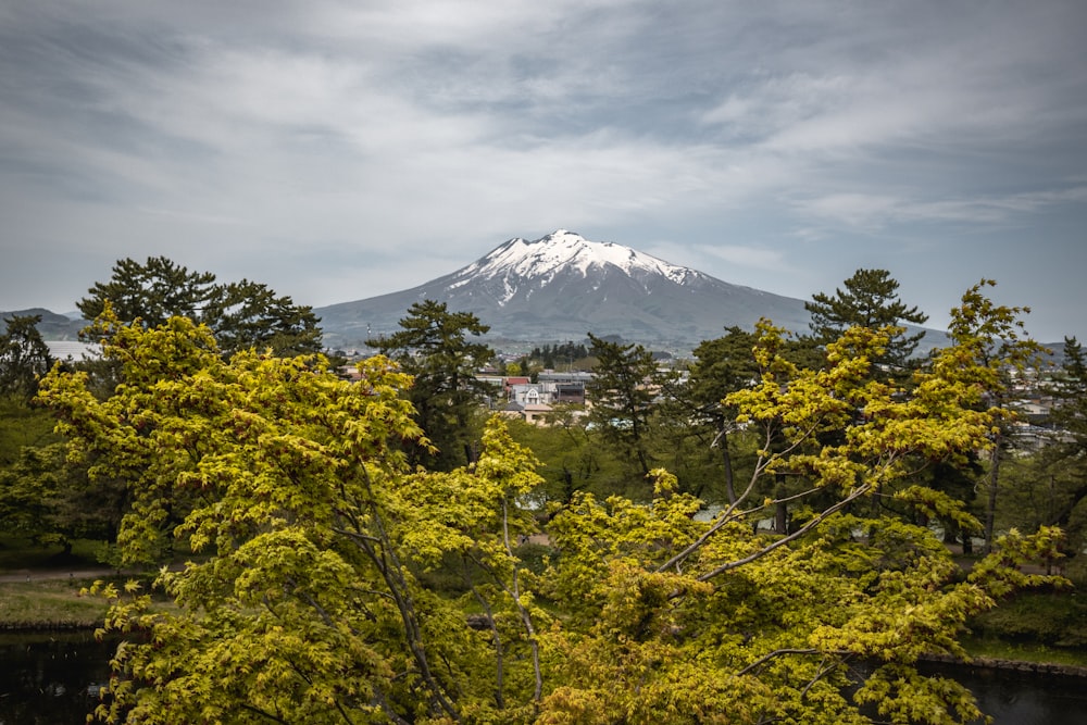 a view of a snow covered mountain in the distance