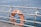 An orange lifebuoy is attached to a metal railing using ropes. The background consists of a body of calm blue water, suggesting a waterfront or seaside location. The scene conveys a sense of safety and preparedness.