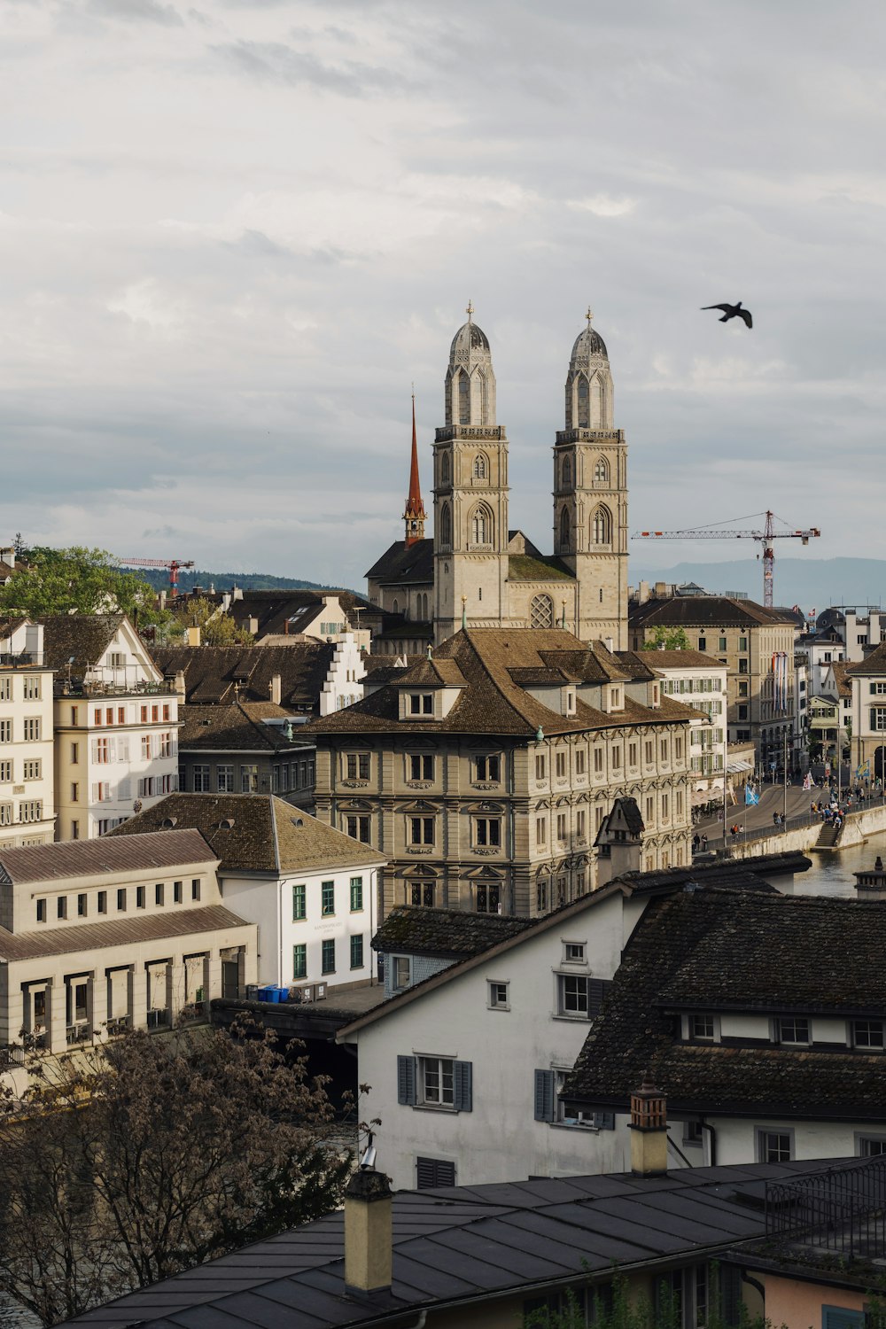 a view of a city with a bird flying over it