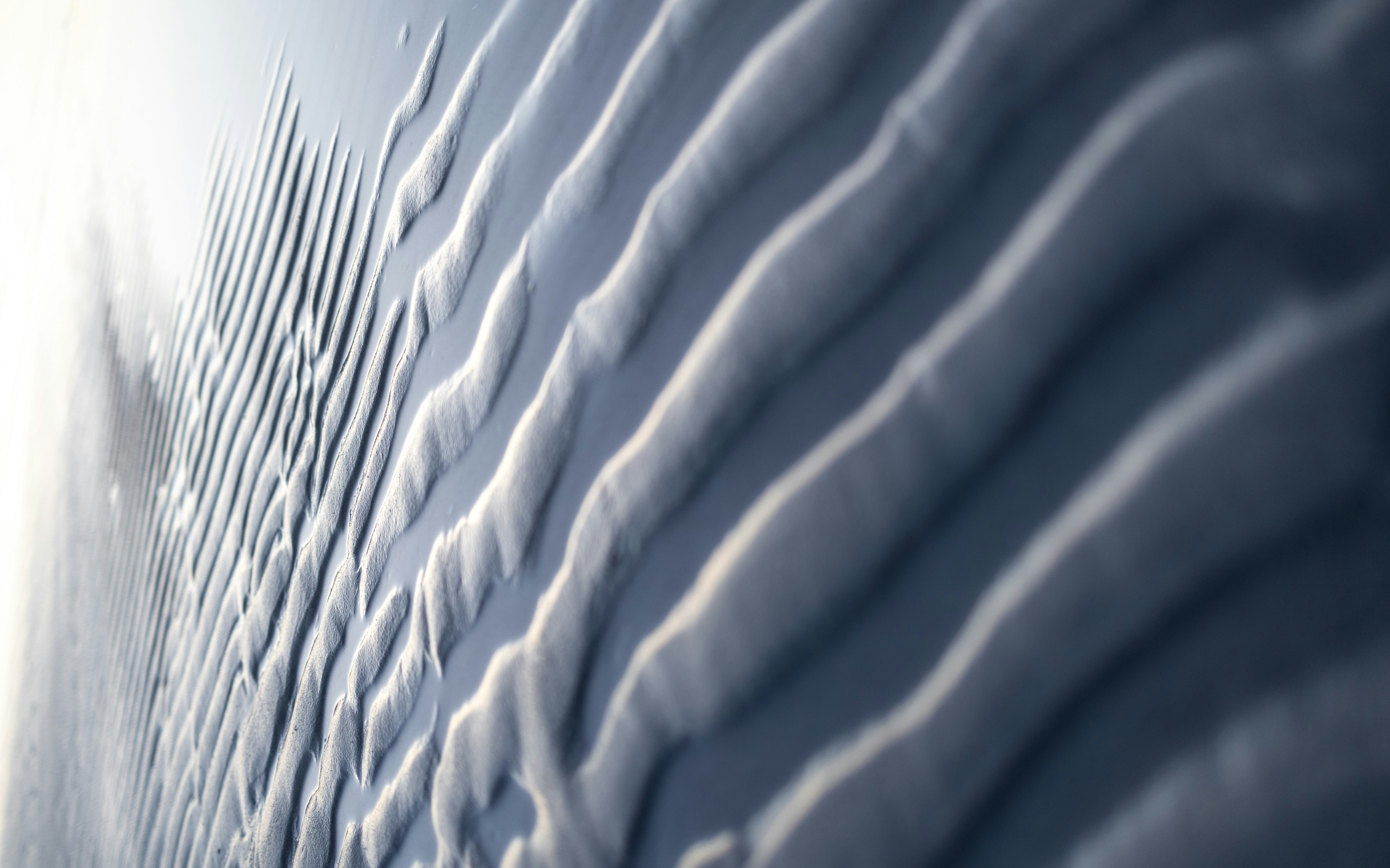 Photo by marekpiwnicki