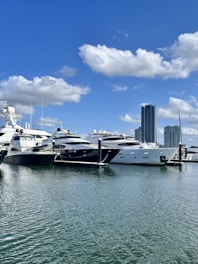 a group of boats docked in a harbor