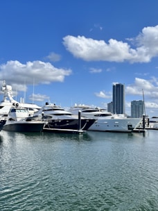 a group of boats docked in a harbor