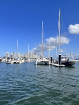 A scenic view of boats docked at a marina under a clear blue sky.