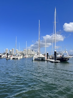 Yachts docked at a busy marina under blue skies