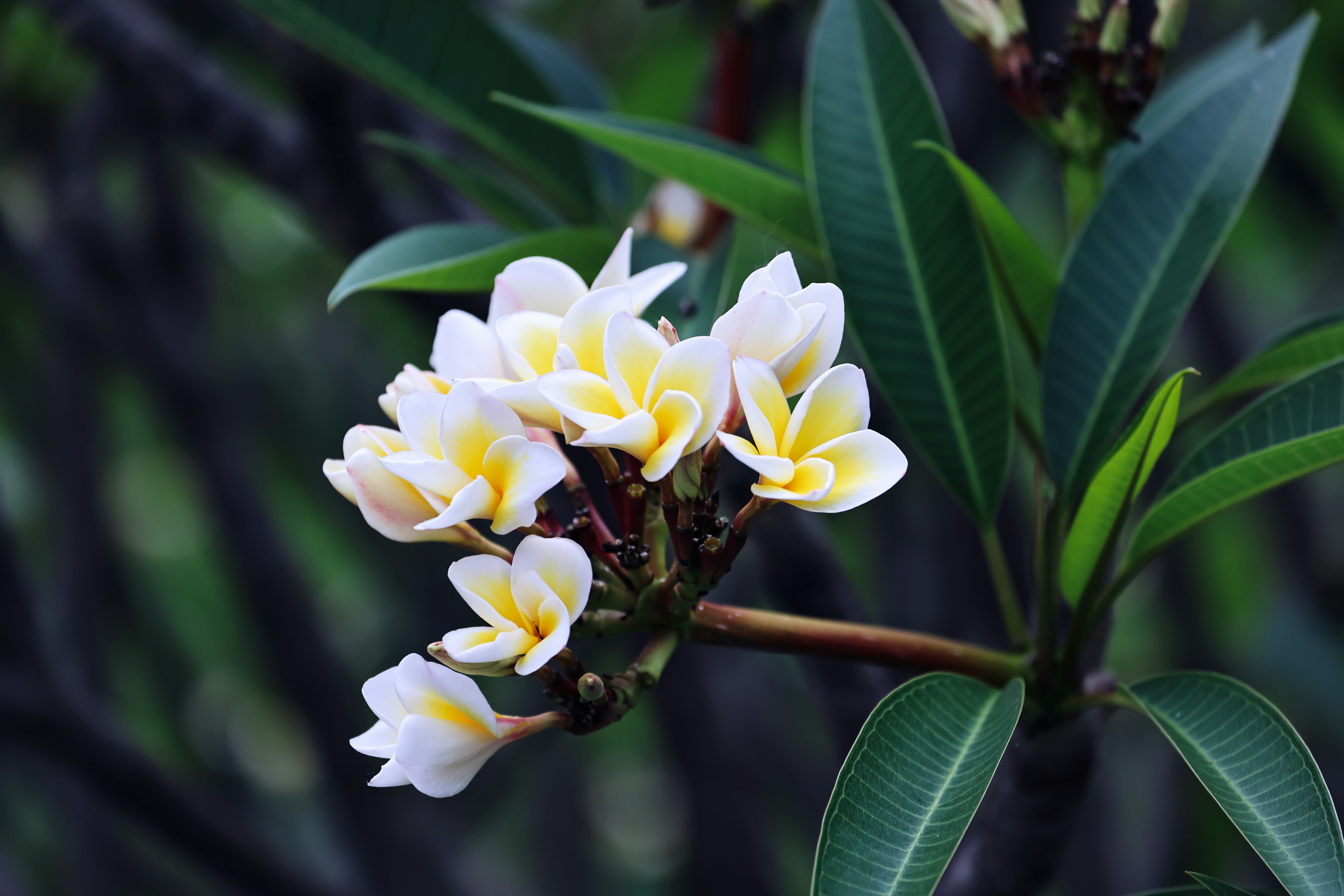 Photo by dickenslin76