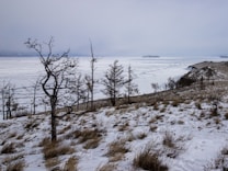 A barren, snowy landscape featuring a few sparse, leafless trees on a snow-covered hillside. The background consists of a vast, frozen lake stretching out to the horizon, with a small island barely visible in the distance. The sky is overcast with a gray, wintry atmosphere.