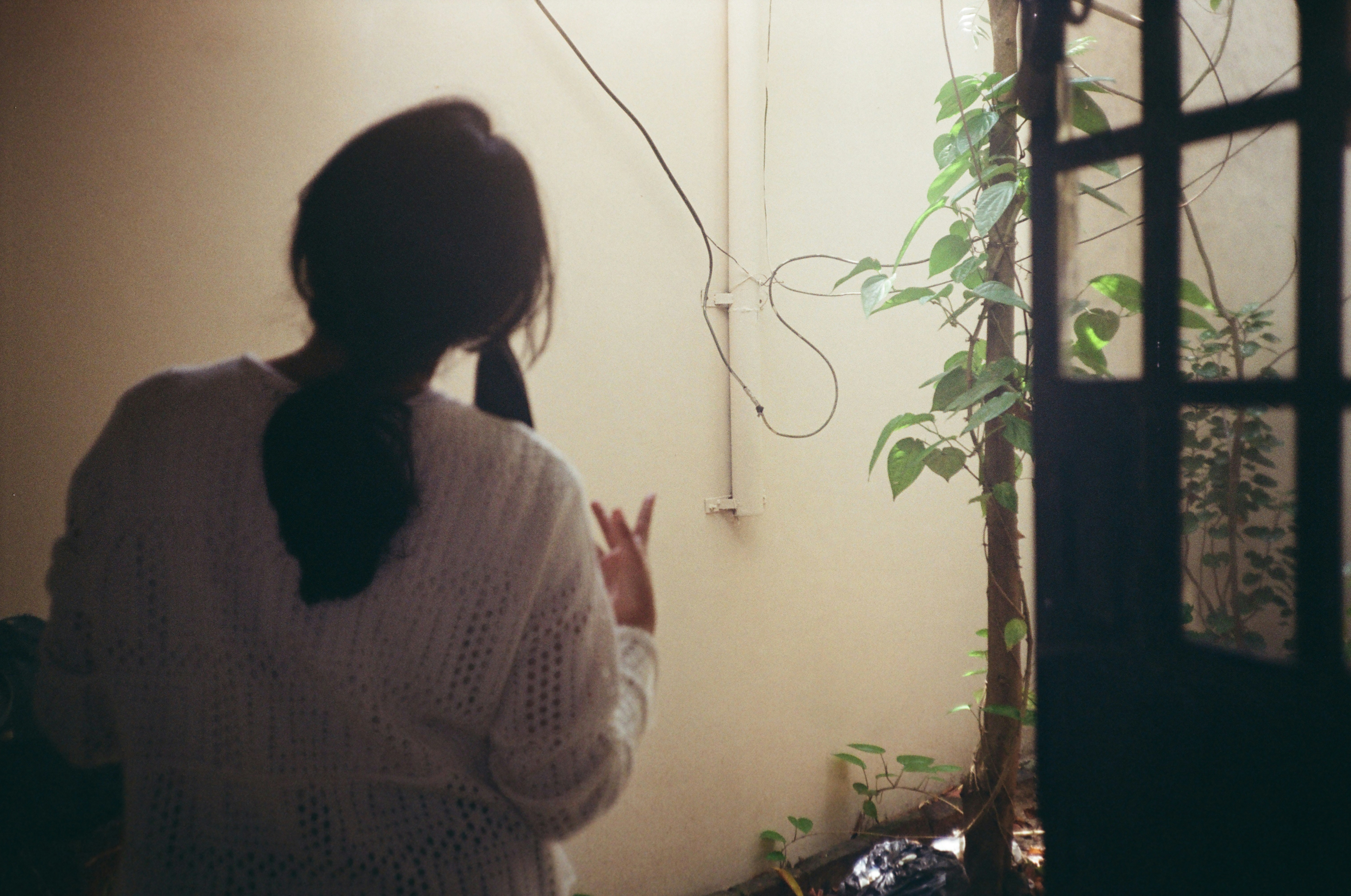 Photo by alluqna